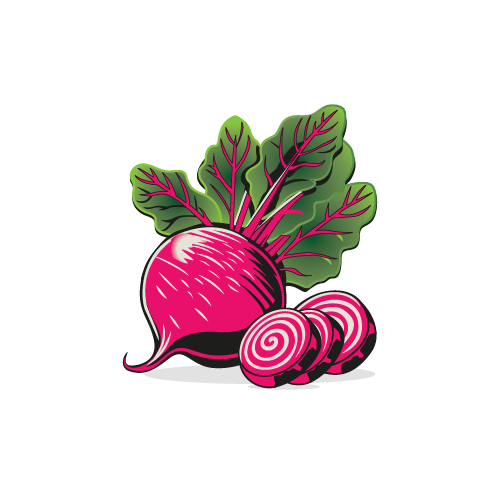 Colored vector artwork of a radish | Vectorization